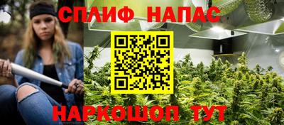 ПСИЛОЦИБИНОВЫЕ ГРИБЫ Берёзовский