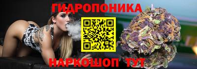 ПСИЛОЦИБИНОВЫЕ ГРИБЫ Берёзовский