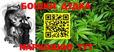 spice Бийск