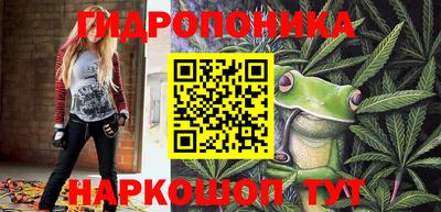 ПСИЛОЦИБИНОВЫЕ ГРИБЫ Берёзовский