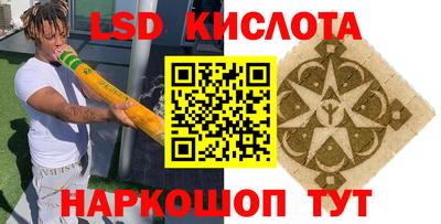ПСИЛОЦИБИНОВЫЕ ГРИБЫ Берёзовский